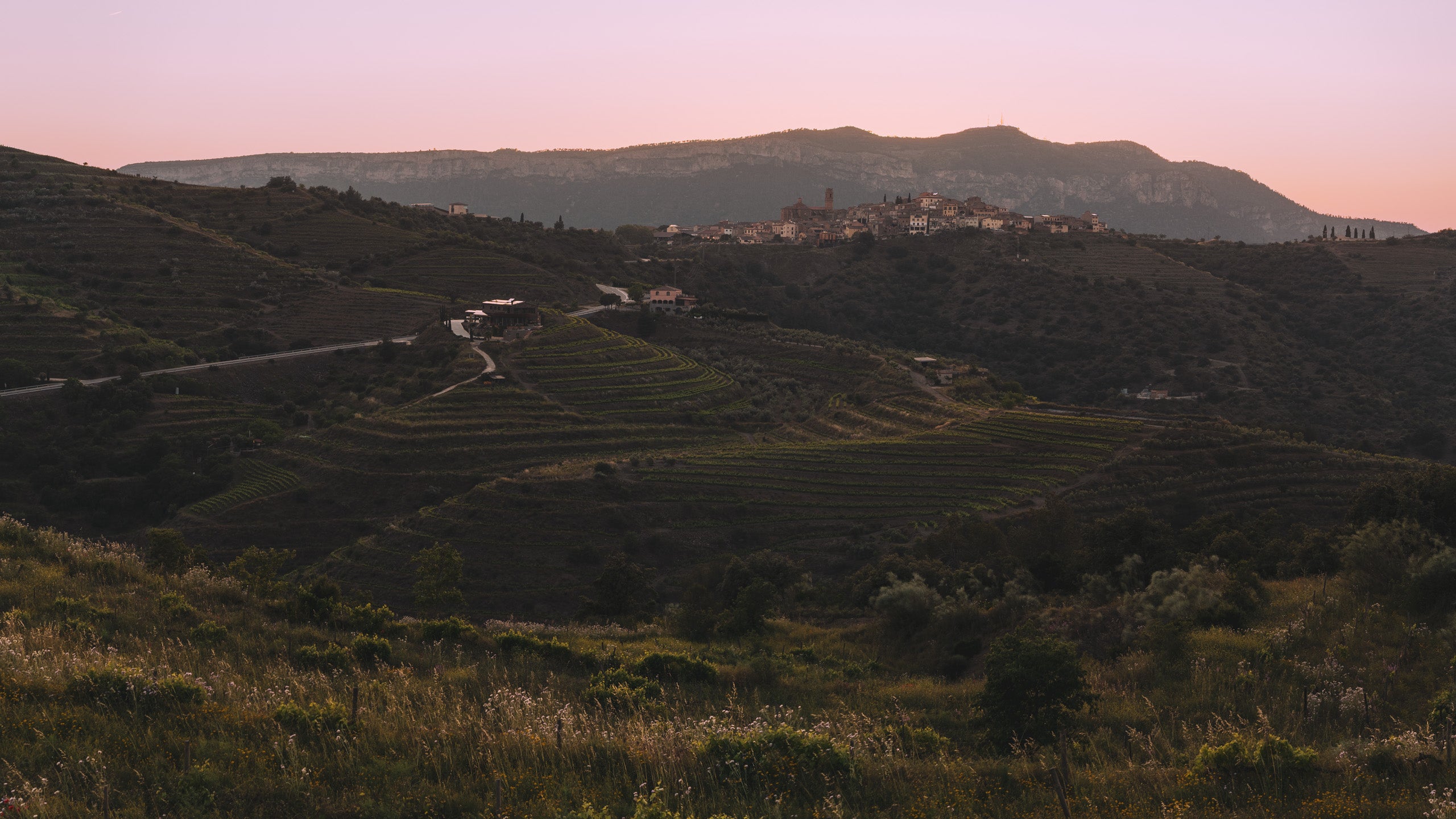 Atavus Priorat