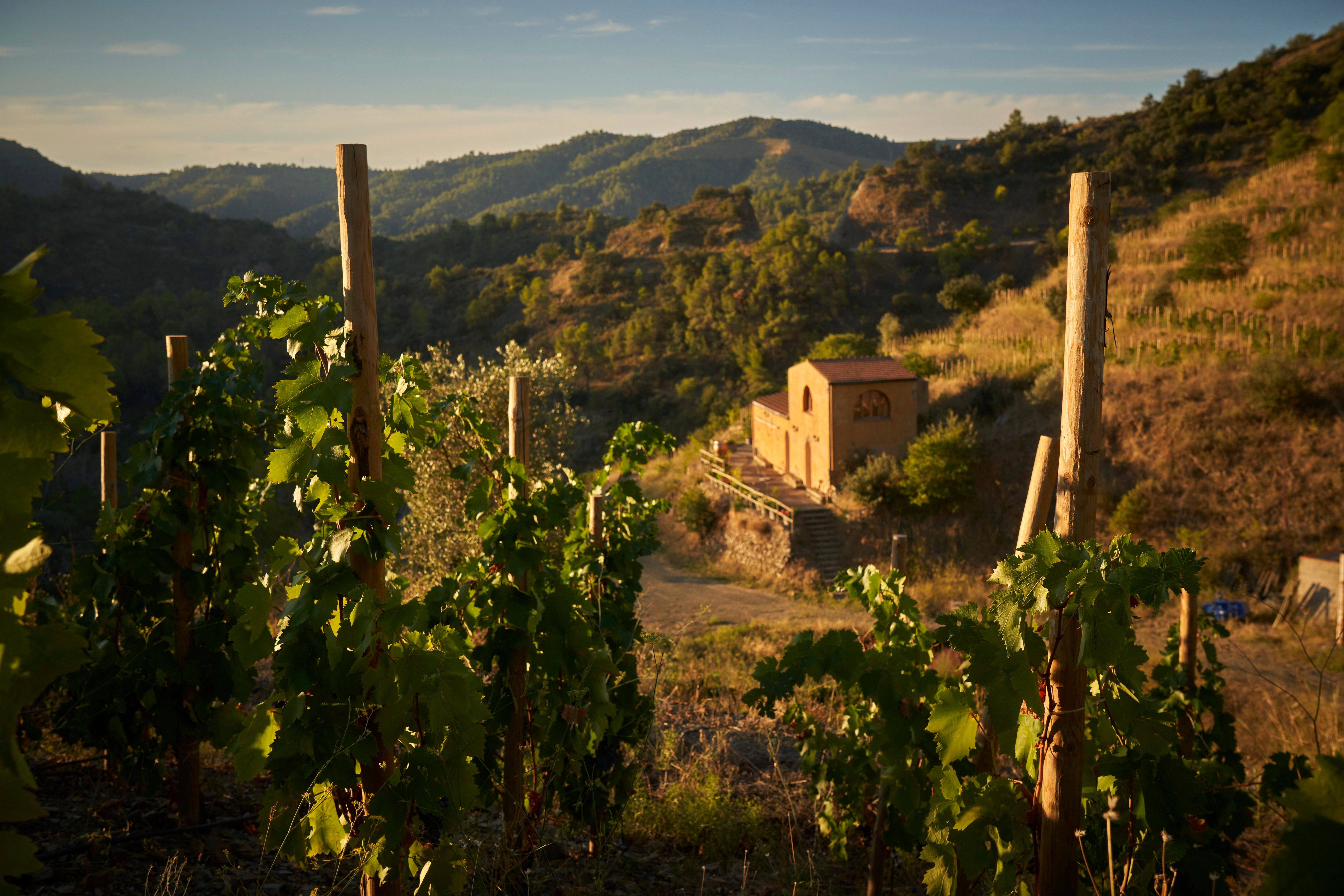 Atavus Priorat