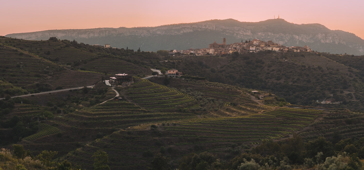 Atavus Priorat